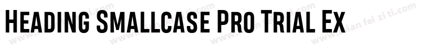Heading Smallcase Pro Trial ExtraBo字体转换